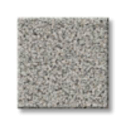 Shaw Smithtown Bay Gray Mist Texture Carpet with Pet Perfect Plus-Sample